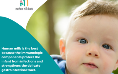 Human Milk is Best QR Code