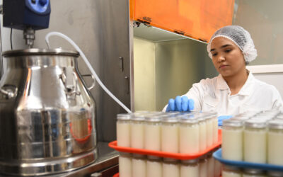 A New Study: The Impact of Donor Human Milk on Parental Mental Health